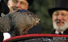 Мармотът Фил предсказа още шест седмици зима