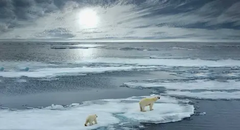 Ледът край арктическите брегове се топи два пъти по-бързо от очакваното Ледът край арктическите брегове се топи два пъти по-бързо от очакваното