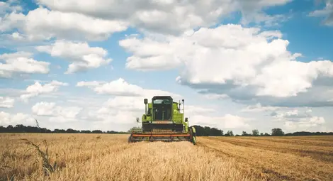 50 лева разлика в рентата за декар в Русенско