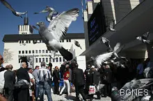 Масови съкращения в Пловдивския панаир