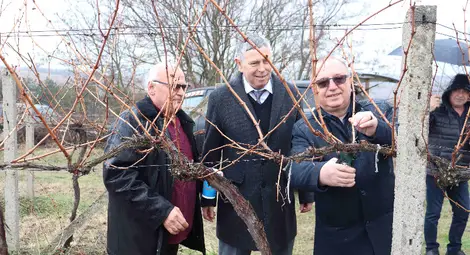 Станчо Цанков спечели конкурса за най-добро червено вино на Трифон Зарезан в Пиргово