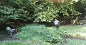 Чистят малките езера в лесопарка от тиня и клони