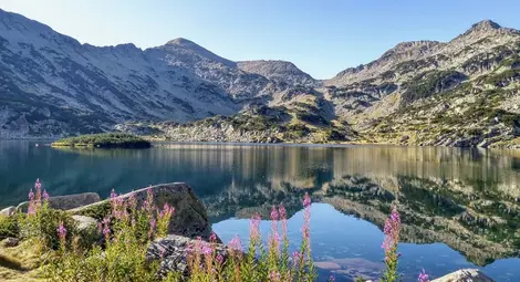 ЕК стартира наказателна процедура срещу България по НАТУРА 2000