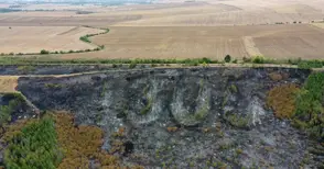 Новото засаждане на изпепеления зелен символ „1300“ - най-рано след година