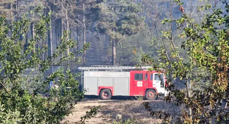 Снимка: БТА