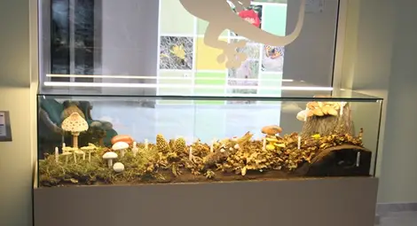 Челядинки, манатарки и сърнели &bdquo;поникнаха&ldquo; в залите на Екомузея