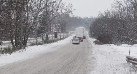 Лиляна Павлова глобява почистващи фирми в Русе за бавна реакция