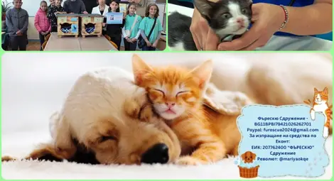 "Дунавско сияние" обяви специалните си награди с библейски послания за доброта и човеколюбие