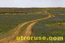 Почина прототипът на Тери от "По пътя" на Керуак 