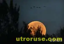 Наблюдаваме "суперлуние"