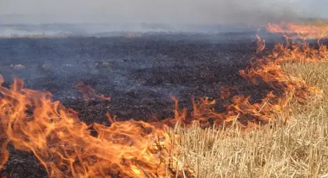 След 3 дни превишение на финия прах в Русе РИОСВ иска от Гюргево информация за горящите стърнища