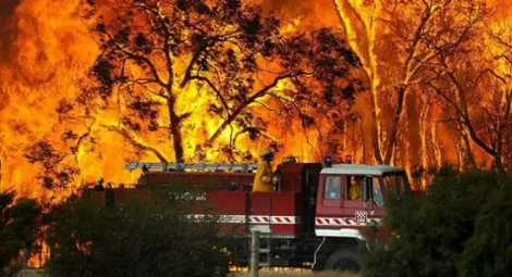 Пожарна падна в силажна яма и изгоря докато гасеше пожар Пожарна падна в силажна яма и изгоря докато гасеше пожар
