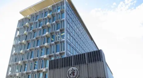 СЗО: Затлъстяването се превръща в основна причина за рак