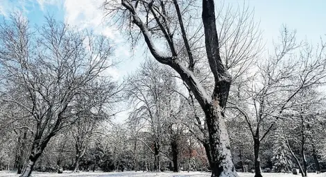 Облачно, температурите до 5 градуса