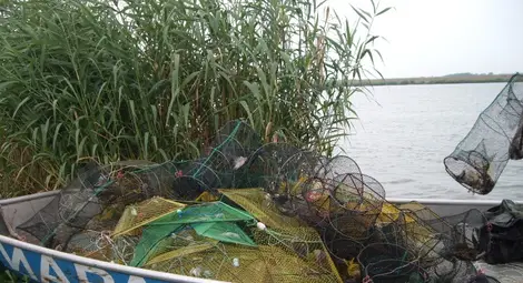 Хванаха в нарушение нощни  въдичари на езеро Липник