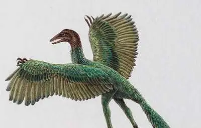 Дали археоптериксът наистина е предшественик на птиците?