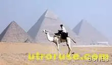  Японци ще озеленяват пустини 