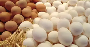 Работници в птицеферма хванати с 337 яйца и три торби месо