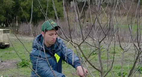 Състезание &bdquo;Млад фермер&ldquo; направи  студенти русенски гимназисти