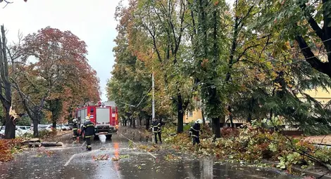 Екипи на общинските предприятия и Пожарната служба работят по сигнали за паднали дървета и аварии