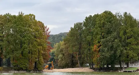 Новият пешеходен мост на езерото в Лесопарка "Липник" е изработен в Австрия