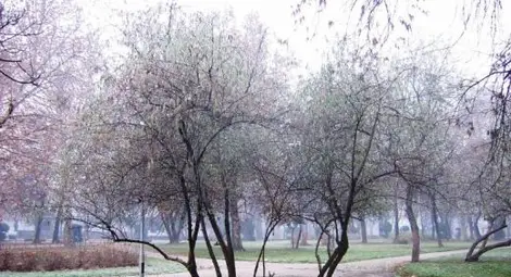 Температурите падат под нулата