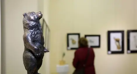 Показаха как изглеждат &bdquo;под лупа&ldquo; различни животни