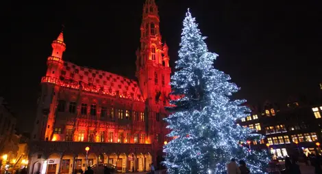 Някои природозащитни групи не се радват на празника, тъй като различни негови аспекти се отразяват на околната среда. И то не по добър начин. Някои природозащитни групи не се радват на празника, тъй като различни негови аспекти се отразяват на околната среда. И то не по добър начин.