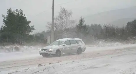 Вятър със скорост 72 км/ч вилнее в Русенско, пътищата от Николово до Мартен и Червена вода затворени 