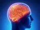 Учени откриха, че мозъкът е свързан с имунната система
