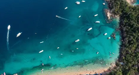 14 държави “свободни от COVID” 14 държави “свободни от COVID”