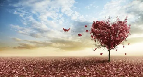 Как наистина да слушаме сърцето си?