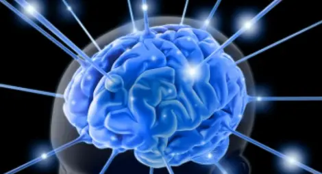 Една от най-малките части на мозъка отговаря за вземането на решения