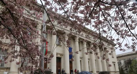 Националната библиотека спря работа за читатели