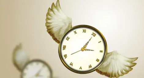 Илюстрация: Пиксабей