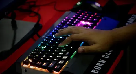 България е замесена в интернет измама за 100 млн. евро