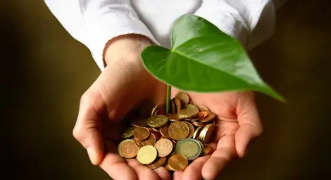 67 000 фермери си разпределят 104,8  милиона лева за първите 300 декара