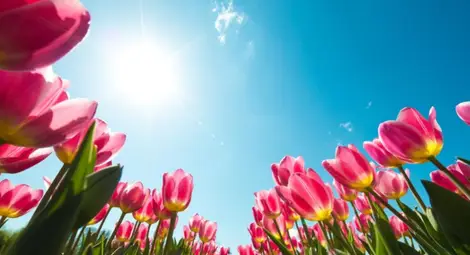 Слънчево и топло - до 22 градуса днес