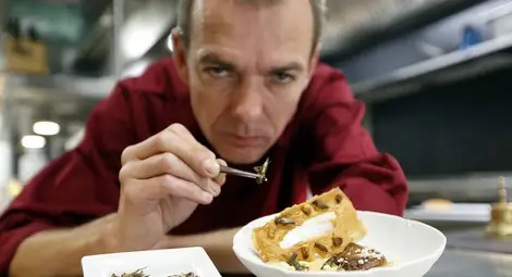 Насекомите влизат официално в менютата в Белгия Насекомите влизат официално в менютата в Белгия