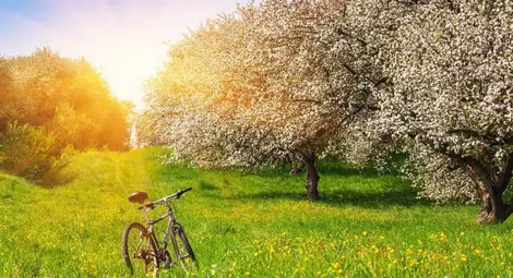 Какво време ни очаква в следващите дни и на 24 май? Какво време ни очаква в следващите дни и на 24 май?