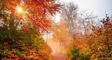 Времето през ноември: От минус 5 до 24 градуса