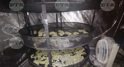 Снимка: БТА Снимка: БТА