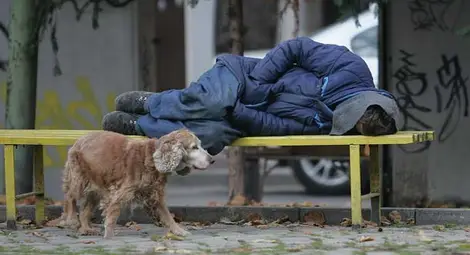 Институциите на лов за бездомници,  общината чака сигнали на горещите телефони