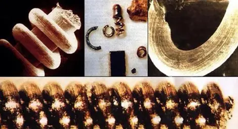 Сензационни находки, за които учените мълчат като риби