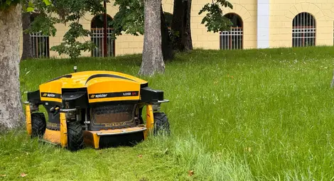 Косенета на тревните площи в Русе продължават и през тази седмица