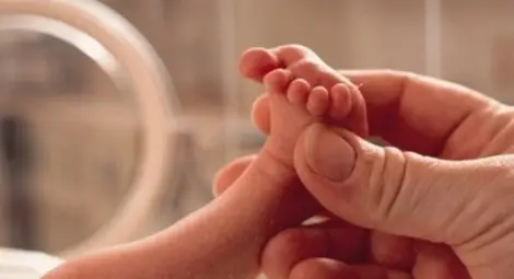 Девет бебета проплакаха на Бъдни вечер и Коледа в Русе Девет бебета проплакаха на Бъдни вечер и Коледа в Русе