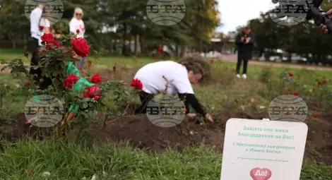 Снимка: БТА