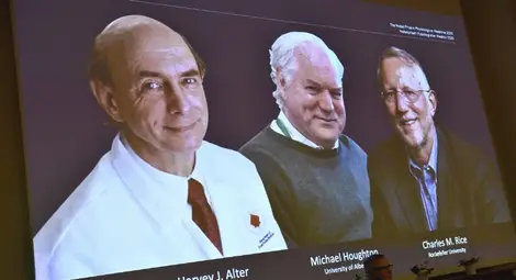 Нобелова награда за откривателите на вируса на хепатит С