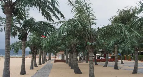 Улесняват отдаването на концесия на морските плажове