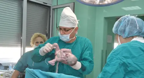 Четиризнаци проплакаха в Русе след 51 години пауза Четиризнаци проплакаха в Русе след 51 години пауза